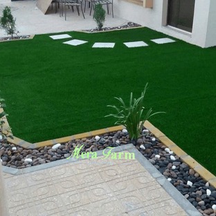 شركة ميرة فارم لتنسيق الحدائق ابو ظبي دبي عجمان الشارقة ام القيوين العين