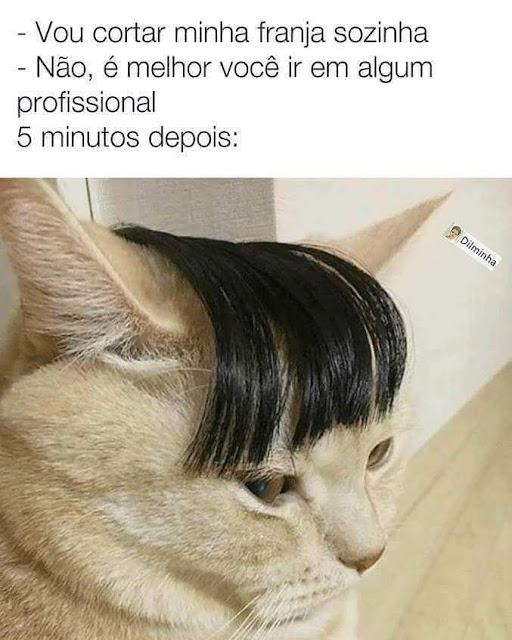 Memes engraçados