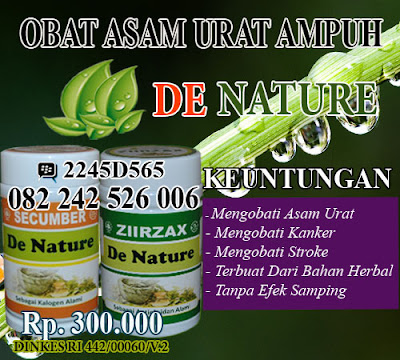 obat mujarab penyembuh asam urat