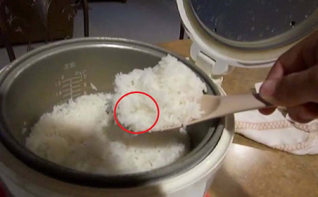 Inilah Alasan Mengapa Meletakan Nasi Pada Rice Cooker Selama 1 Hari Itu Sangat Berbahaya !