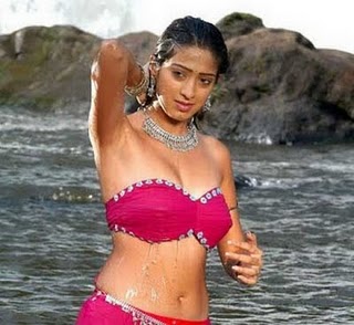 mallu desi aunty lakshmi rai hot sexy pics, hot cleavage show