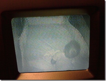 2010-09-10 14.58.26