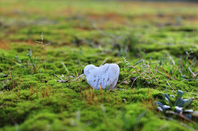 la-nature-offre-beaute-et-mystere-hors-du-commun