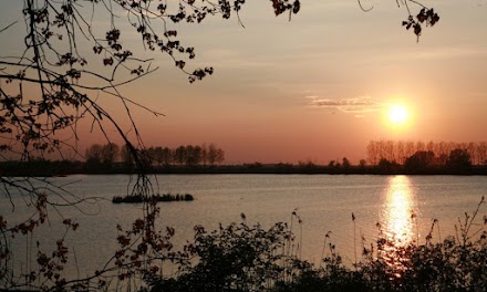 L’agosto d’oro di Argenta, paradiso di acqua dolce, nel Parco del Delta del Po