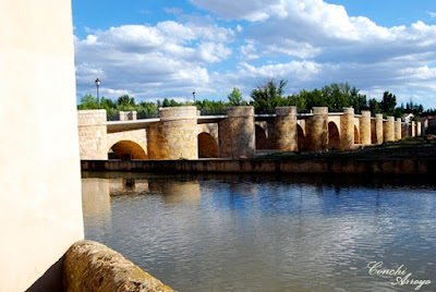 El Puente de los 16 ojos, de estilo romano cruza majestuoso sobre el río Duero.