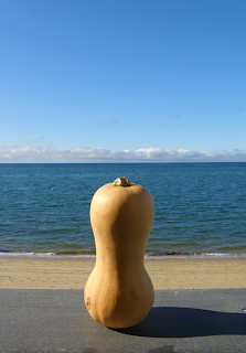 Butternut Squash by the Sea