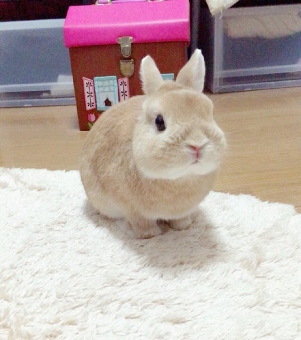 clip_image001