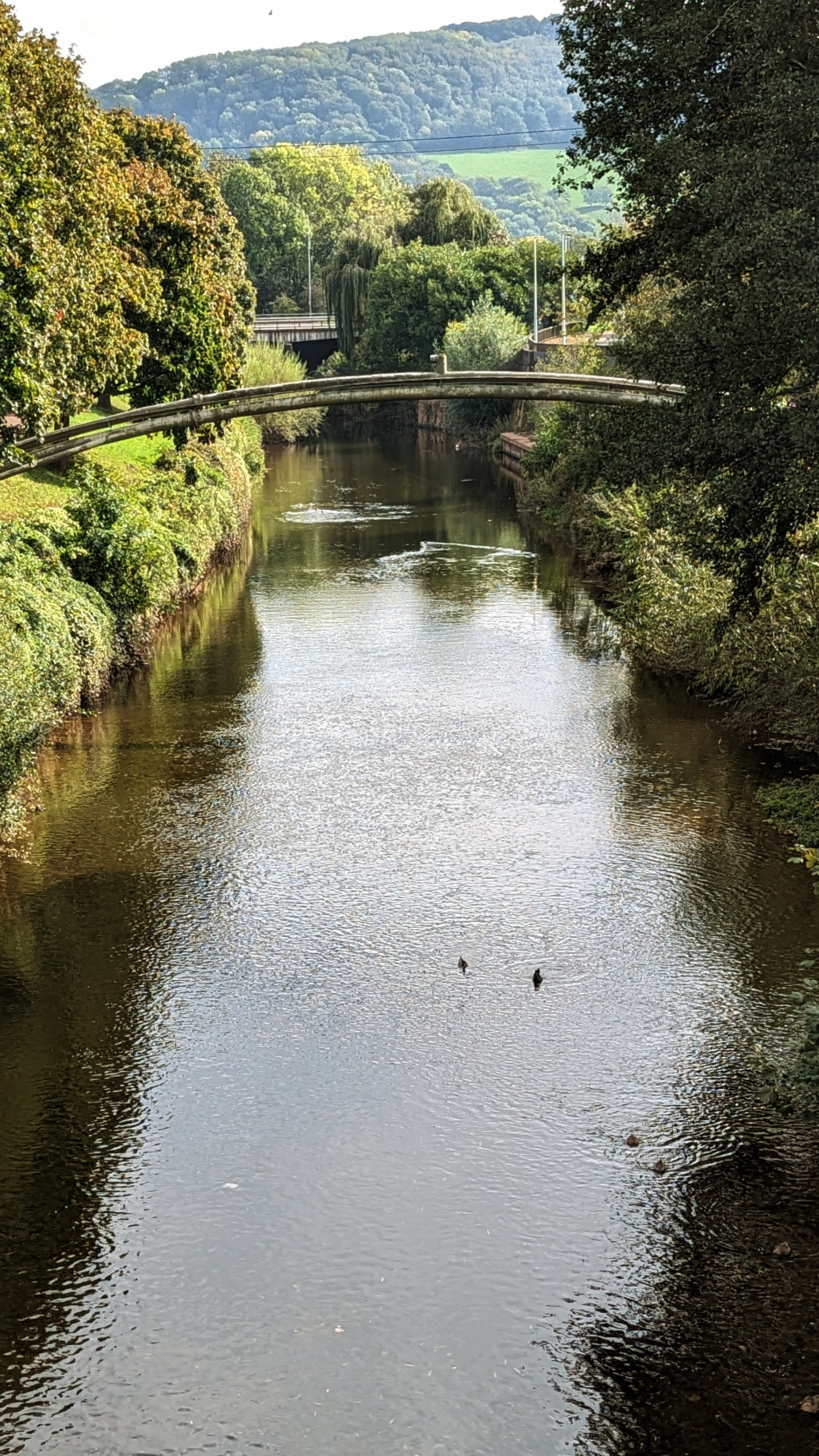 The shallow River Monnow flows away, green banks and trees either side with a pipes arching over and a road bridge in the distance. Wooded hills in the distance.