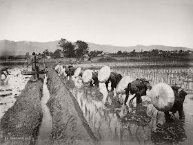 Fotografías de Japón en el siglo XIX