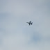 F16 Pszczonki