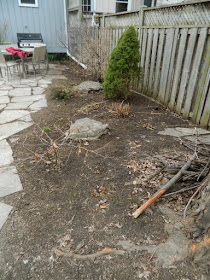 Toronto Leslieville Spring Back Yard Cleanup After by Paul Jung Gardening Services--a Toronto Gardening Company