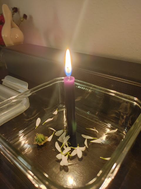 Next Candle Magic