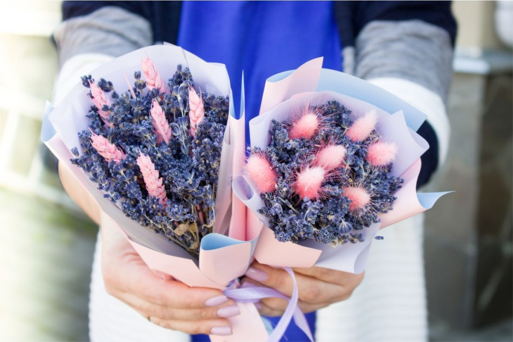 Lavender and dried flowers farm