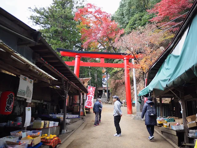 子ノ権現　参道