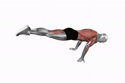 تمرين ضغط  Psuedo Planche Push-Up