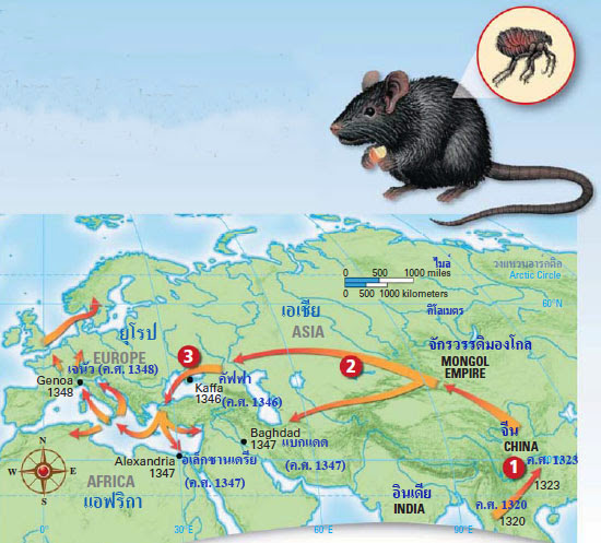 แผนที่การแพร่กระจายของโรคระบาด