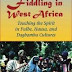 Fiddling in West Africa: Touching the Spirit in Fulbe, Hausa, and Dagbamba Cultures by Jacqueline Cogdell DjeDje