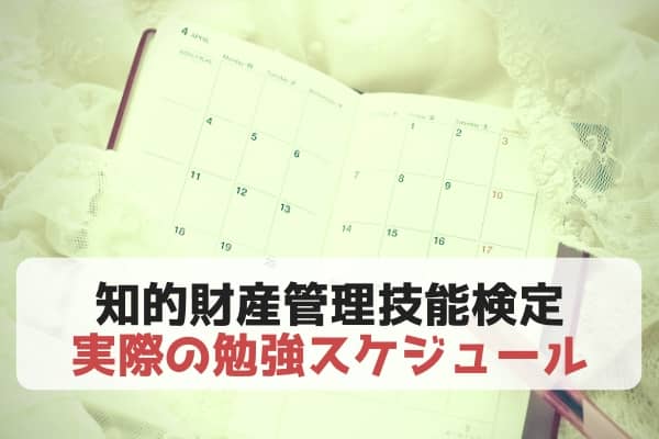 国家試験「知的財産管理技能検定2級」を育休中に独学＆一発合格した勉強スケジュール