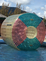 A colored and giant human hamster wheel