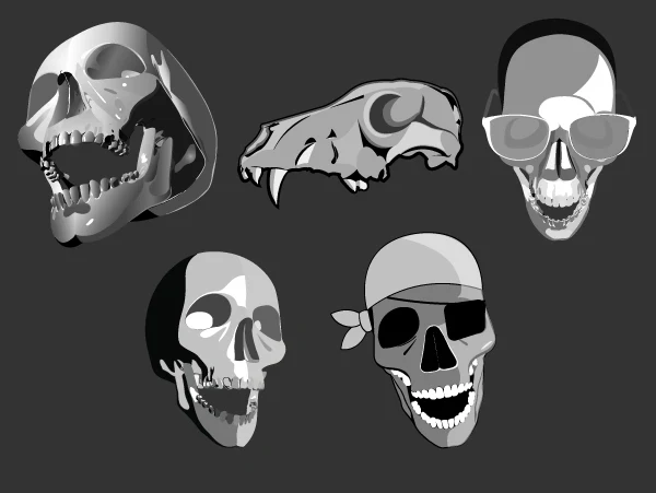 skulls fırça photoshop