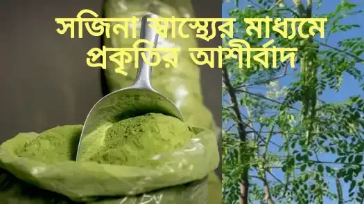 সজিনা,