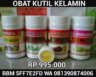 obat terampuh untuk kutil kelamin