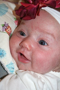 mid Nov. 2010 021