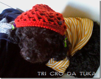 desafio da tuka 018