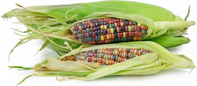 glass gem corn in bengali