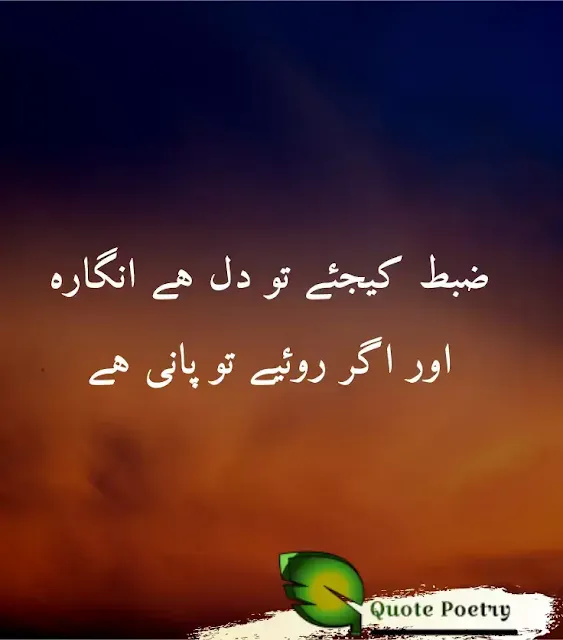 Sad Poetry in Urdu 2 Lines