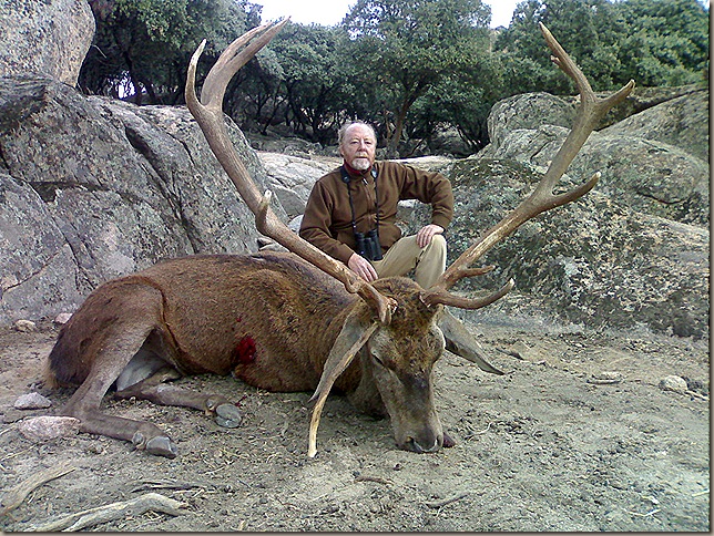 venado berrocal