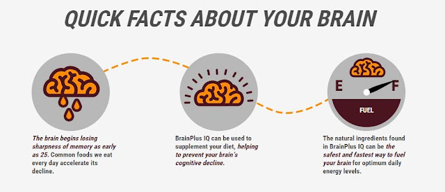 QUICK FACTS ABOUT YOUR BRAIN