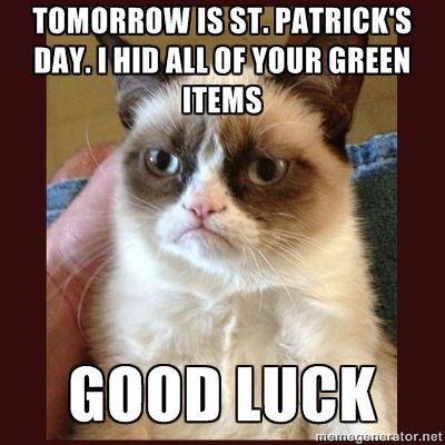 St. Patrick's Day Funny Meme