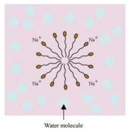 10th science solutions chapter 4