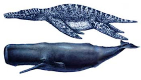 Liopleurodon VS Ballena