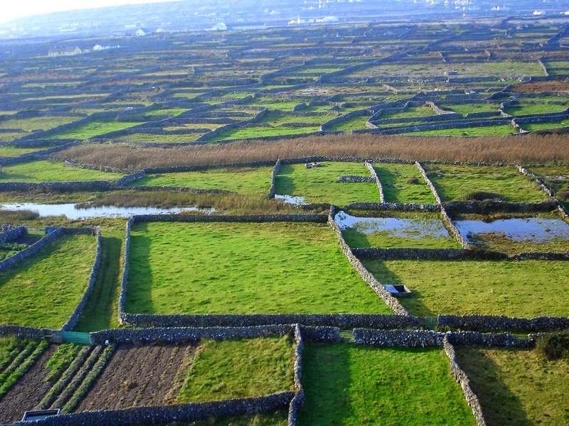 stone-walls-ireland-10 stone-walls-ireland-10