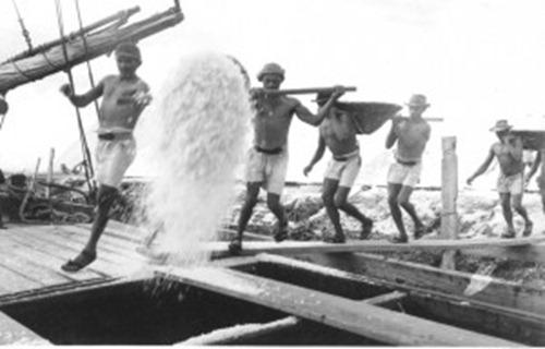 Lavoratori nella salina, Salinopolis - Parà, foto: o baù de macau