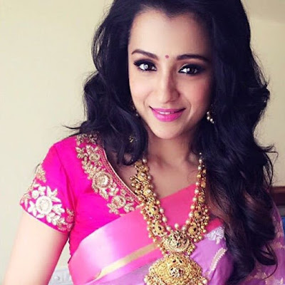 Actress Trisha in Saree Stills