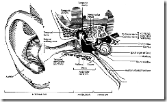 clip_image003