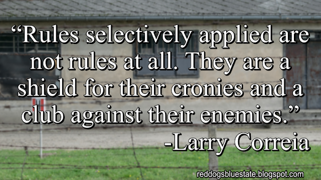 “Rules selectively applied are not rules at all. They are a shield for their cronies and a club against their enemies.” -Larry Correia