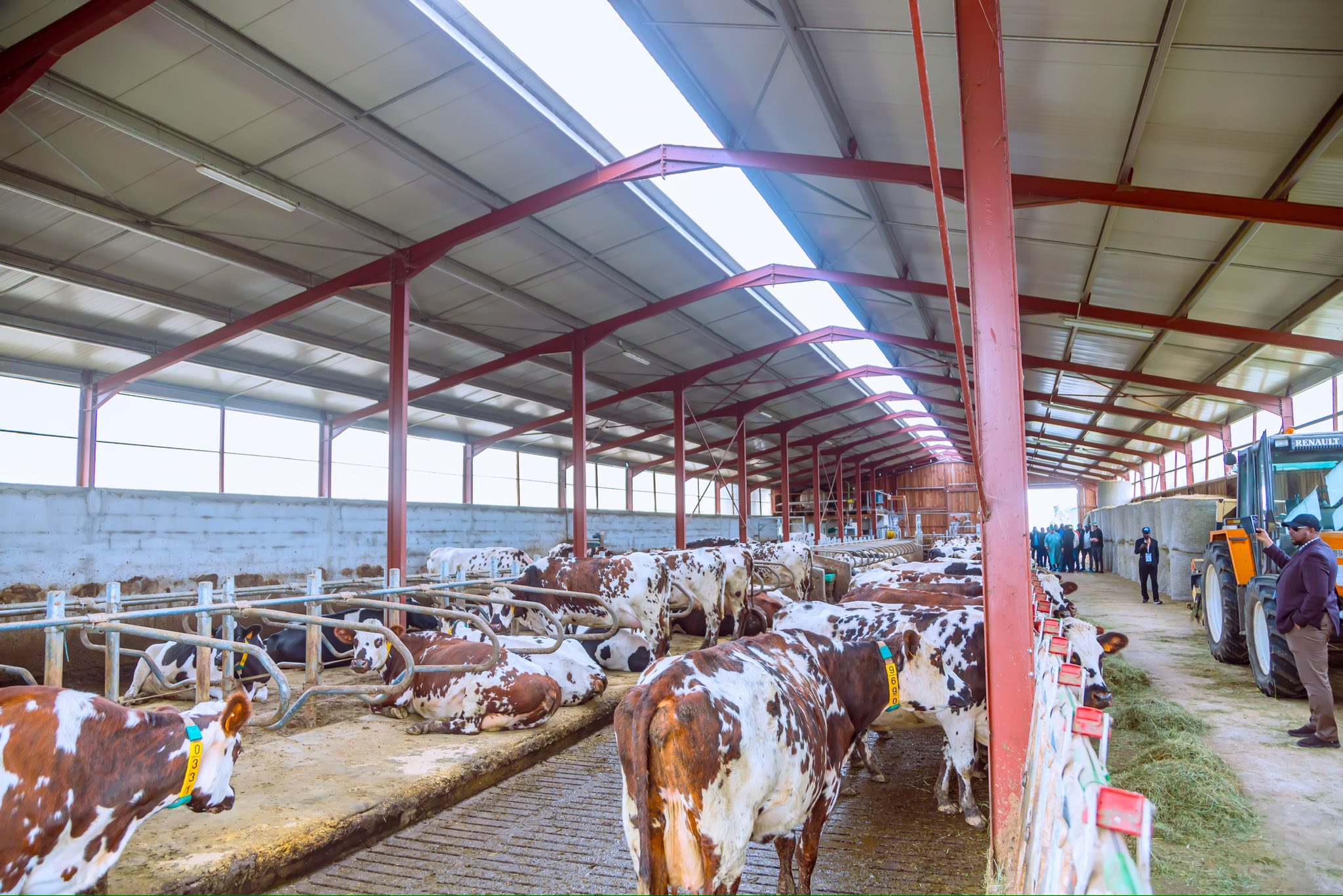 "Large dairy farm in Northern France"