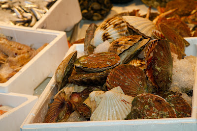 Scallops at the Fish Market - Venice, Italy