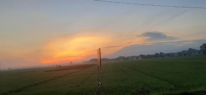 PUISI MALAM MINGGU