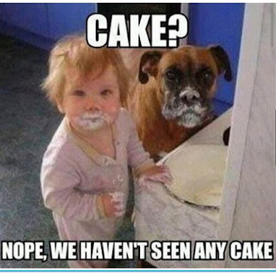 Dog Humor : Cake I did not see any cake