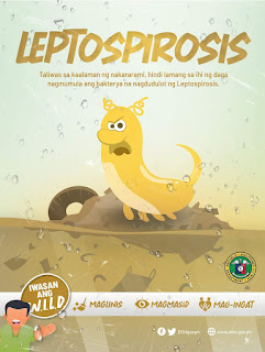 Leptospirosis facts and prevention