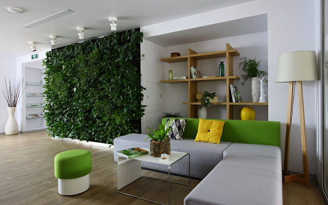 living room decor ideas with plants