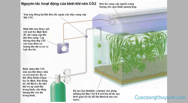 Nguyên tắc hoạt động của bình khí nén CO2