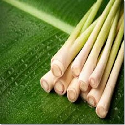 sả sả