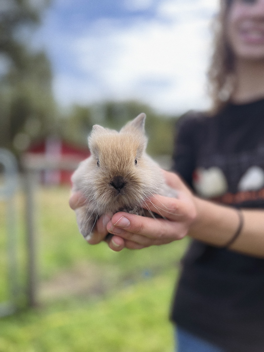 Hazelmere Pumpkin Patch Photos