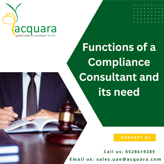 Compliance consultant services